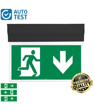 Auto-Test LED Noodverlichtingsarmatuur 2w, 240 Lumen, Zwart, Kantelbaar, Opbouw, Met pijlaanduiding, 5 Jaar garantie