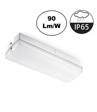Galerij / Portiek LED verlichting 4w, 360 Lumen, IP65, 2 Jaar Garantie