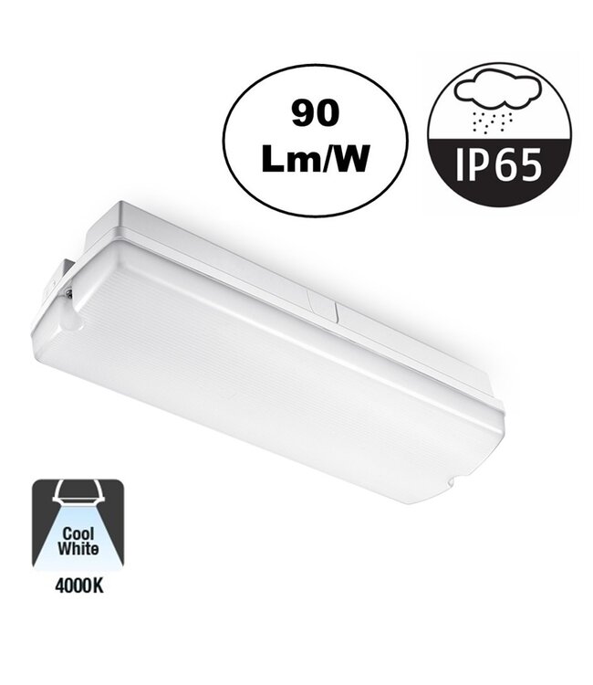 Galerij / Portiek LED verlichting 4w, 360 Lumen, IP65, 2 Jaar Garantie