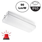 Galerij / Portiek LED verlichting 4w, 360 Lumen, Met Noodunit, IP65, 2 Jaar Garantie