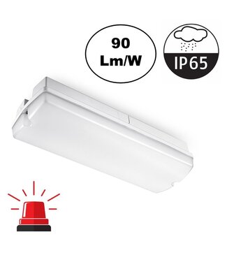 Galerij / Portiek LED verlichting 4w, 360 Lumen, Met Noodunit, IP65, 2 Jaar Garantie