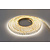 Premium Led Strip ROL 5 Meter 2835SMD, CRI90, 9,6w/m, 120 led/m, 816-864Lm/m, 12v, IP65HS, 10mm, 3 Jaar garantie