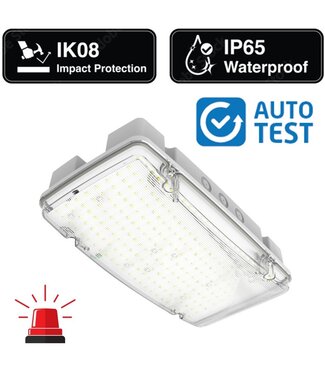 Auto-Test High Bay Opbouw LED Bulkhead 10/15 Watt, 1000/1500 Lumen, IP65, IK08, Standalone 3 Uurs-Nood, 3 Jaar garantie