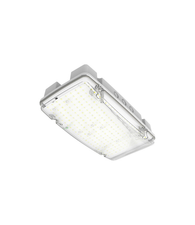 Auto-Test High Bay Opbouw LED Bulkhead 10/15 Watt, 1000/1500 Lumen, IP65, IK08, Standalone 3 Uurs-Nood, 3 Jaar garantie