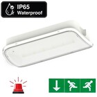 Compact LED Bulkhead Noodverlichting 1w, 150 Lumen, IP65, Met pijlaanduiding, 231x116mm, 2 Jaar garantie