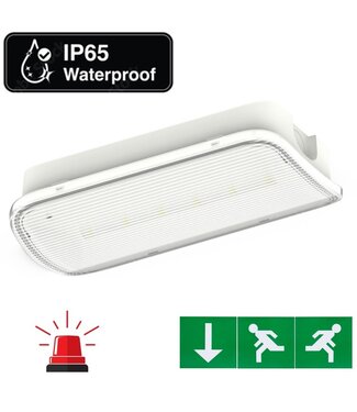 Compact LED Bulkhead Noodverlichting 1w, 150 Lumen, IP65, Met pijlaanduiding, 231x116mm, 2 Jaar garantie