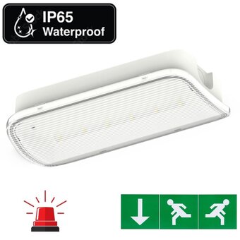 Compact LED Bulkhead Noodverlichting 1w, 150 Lumen, IP65, Met pijlaanduiding, 231x116mm, 2 Jaar garantie
