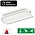 Compact LED Bulkhead Noodverlichting 1w, 150 Lumen, IP65, Met pijlaanduiding, 231x116mm, 2 Jaar garantie