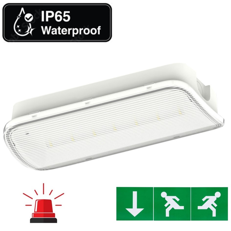 Standaard LED Bulkhead Noodverlichting 1w, 150 Lumen, IP65, Met pijlaanduiding, 357x116mm, 2 Jaar garantie