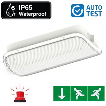 Auto-Test Compact LED Bulkhead Noodverlichting 1w, 150 Lumen, IP65, Met pijlaanduiding, 231x116mm, 2 Jaar garantie