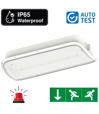 Auto-Test Standaard LED Bulkhead Noodverlichting 1w, 150 Lumen, IP65, Met pijlaanduiding, 357x116mm, 2 Jaar garantie