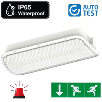 Auto-Test Standaard LED Bulkhead Noodverlichting 1w, 150 Lumen, IP65, Met pijlaanduiding, 357x116mm, 2 Jaar garantie
