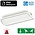 Auto-Test Standaard LED Bulkhead Noodverlichting 1w, 150 Lumen, IP65, Met pijlaanduiding, 357x116mm, 2 Jaar garantie