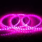LED Lichtslang Op Maat Per Meter: Violet, 10w/m, 60 leds/m, 840lm/m, IP65, 230V