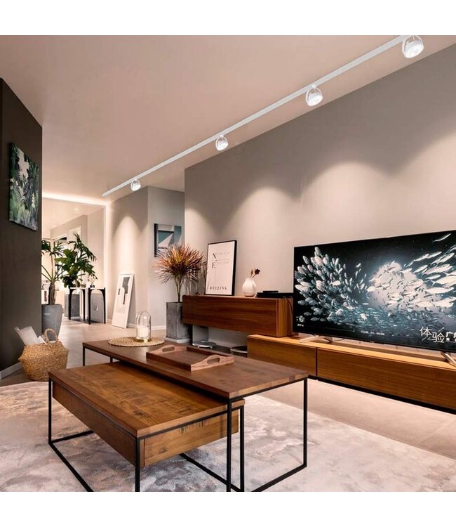 1 Fase Rail armatuur AR111 met GU10 Fitting, Witkleurige behuizing