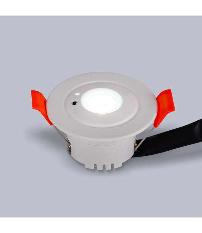 Mini LED Nood Spot/Downlighter Wit, 3w, 250 lumen, Ø42 mm gatmaat, 2 Jaar Garantie