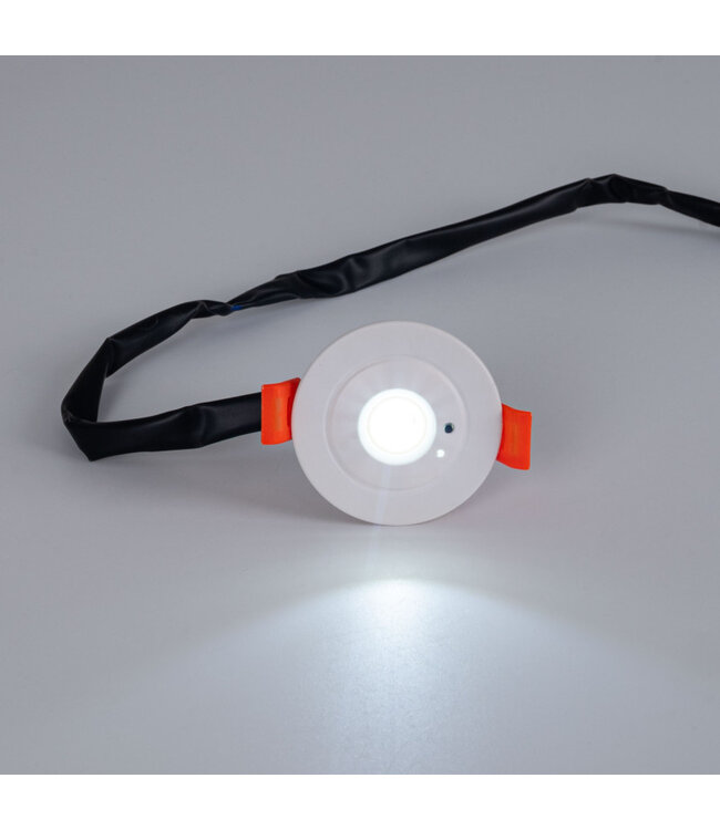 Mini LED Nood Spot/Downlighter Wit, 3w, 250 lumen, Ø42 mm gatmaat, 2 Jaar Garantie