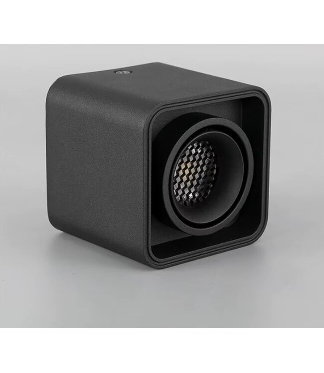 Anti-Verblinding Honinggraat Filter voor LED Spots - Diameter 50mm