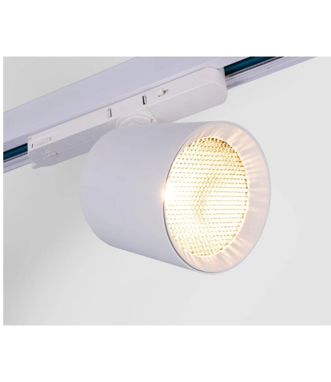 Anti-Verblinding Honinggraat Filter - Diameter 75mm - Geschikt voor ROS Rail Spot