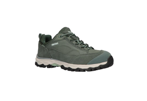 Meindl Maine Lady GTX kleur Linde