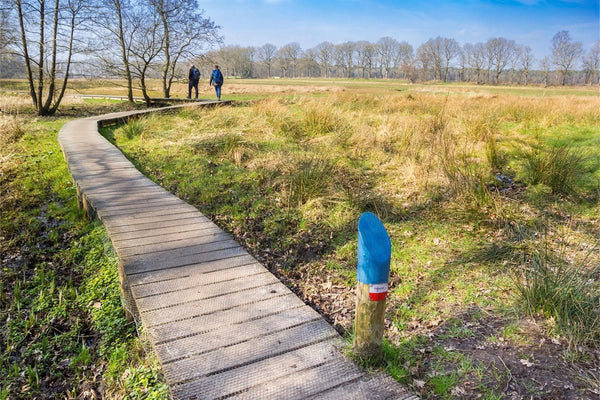10 mooiste wandelroutes van Nederland