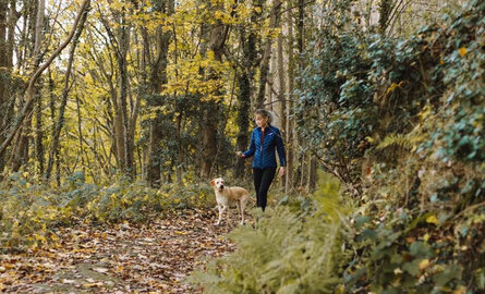 Hoeveel calorieën verbrand je met lopen?