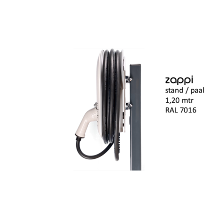 Myenergi Zappi Benelux Paal voor 2 Zappi's Outlet