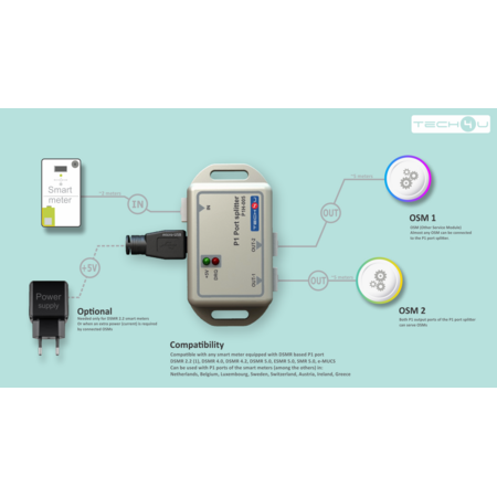 Bliq P1 Splitter voor Laadpaal