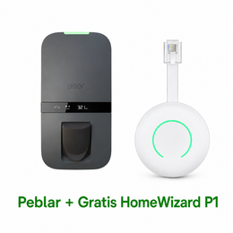 Peblar Business 22Kw Socket + Gratis HomeWizard P1