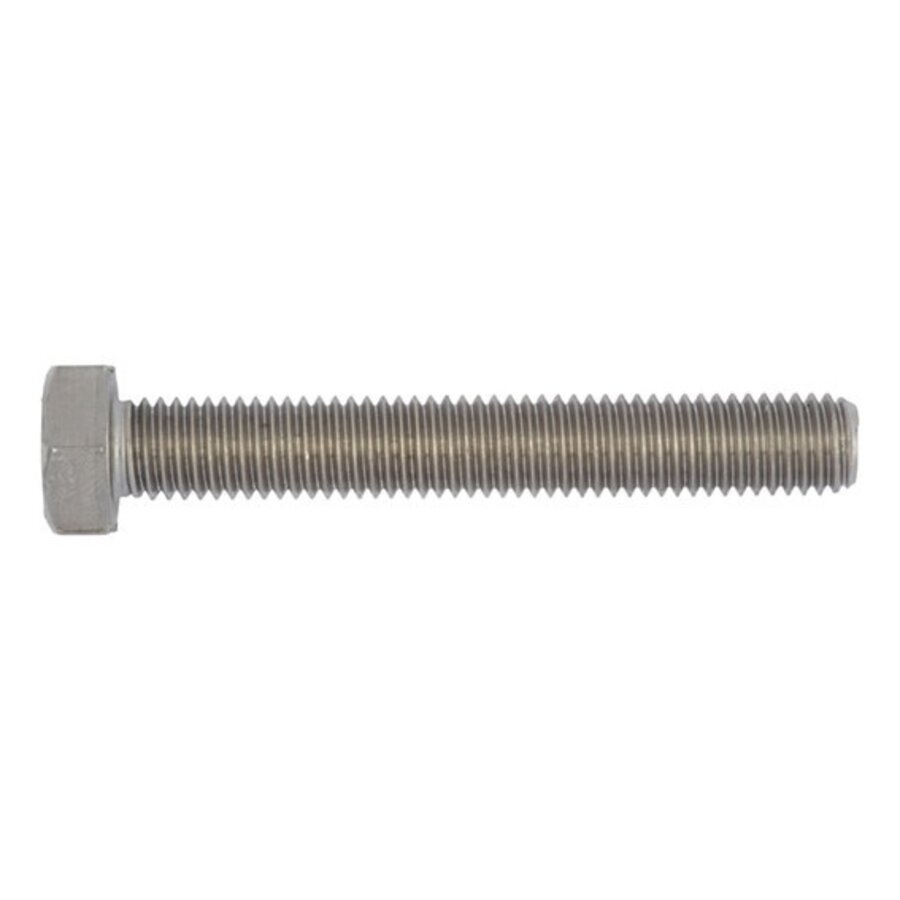 RVS Zeskanttapbout M6x60-1