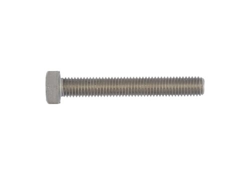 RVS Zeskanttapbout M8x50 