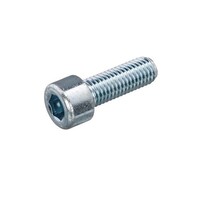 Inbusbout M10x25 verzinkt