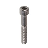 Inbusbout RVS M10x70