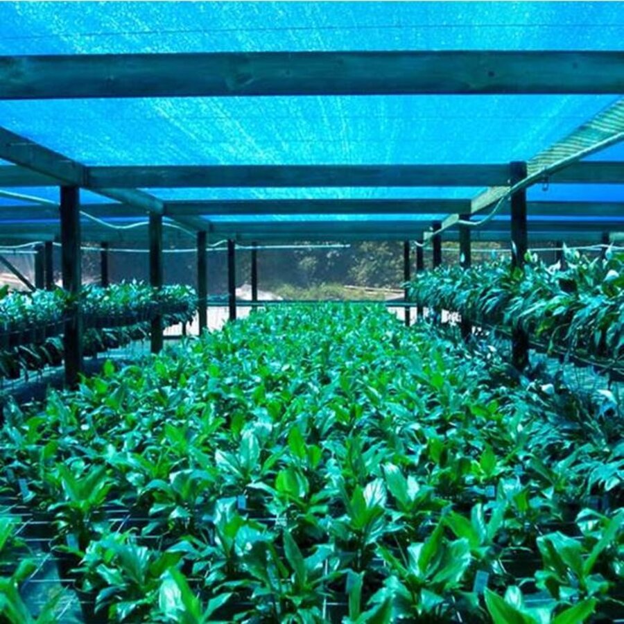 Schaduwdoek groen 5x3 meter-3