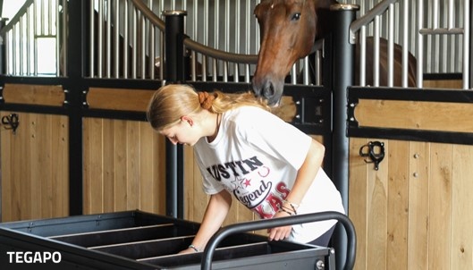 Paarden voerwagen
