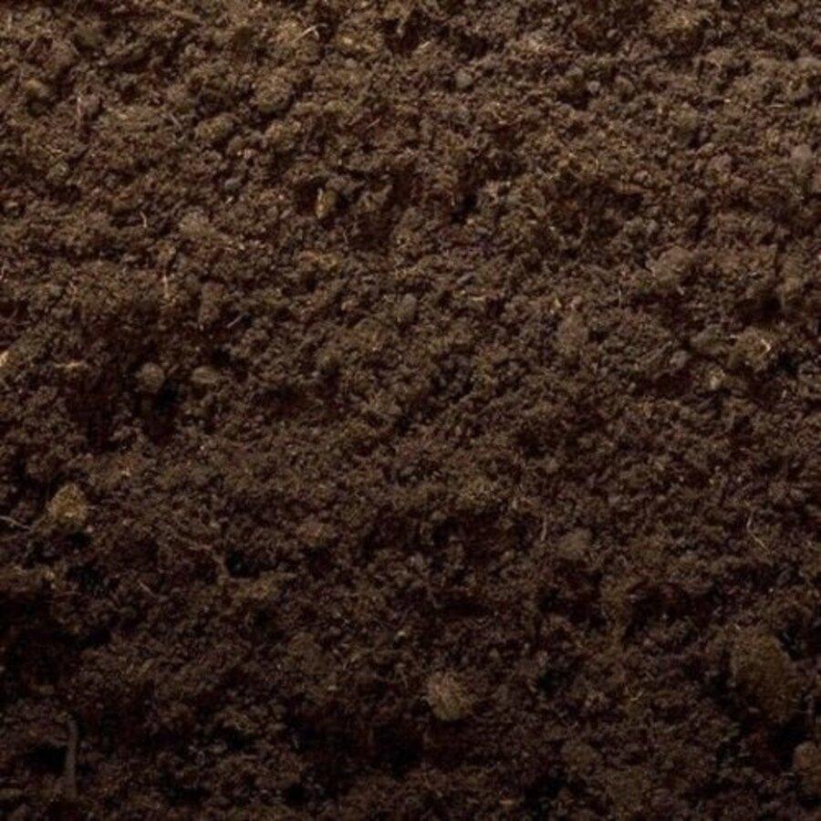 Kwekerspotgrond-2