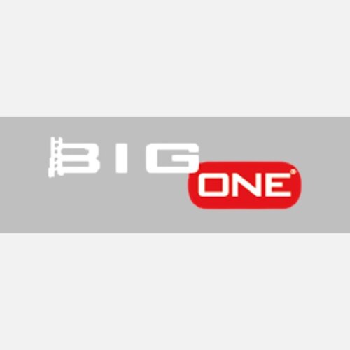 Big One Big One