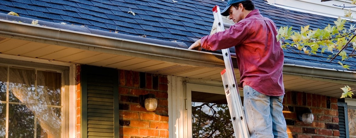 Maxall ladders in gebruik