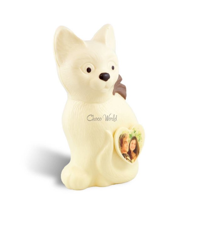 Chocolade poes met foto