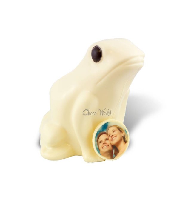 Chocolade kikker met foto