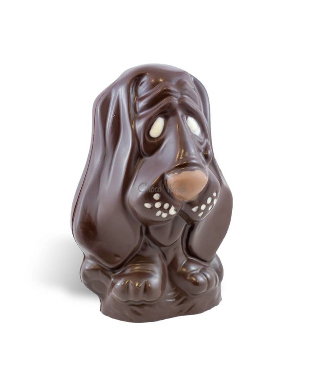Chocolade hond