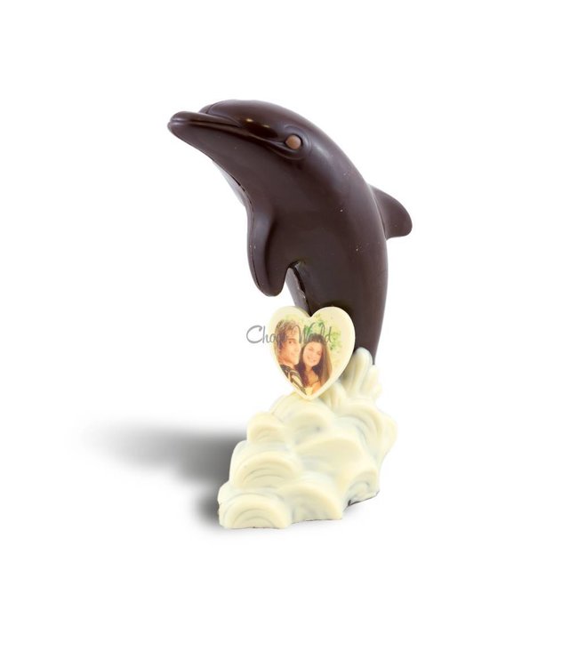 Chocolade dolfijn met foto
