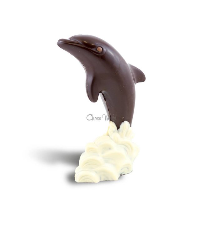 Chocolade dolfijn