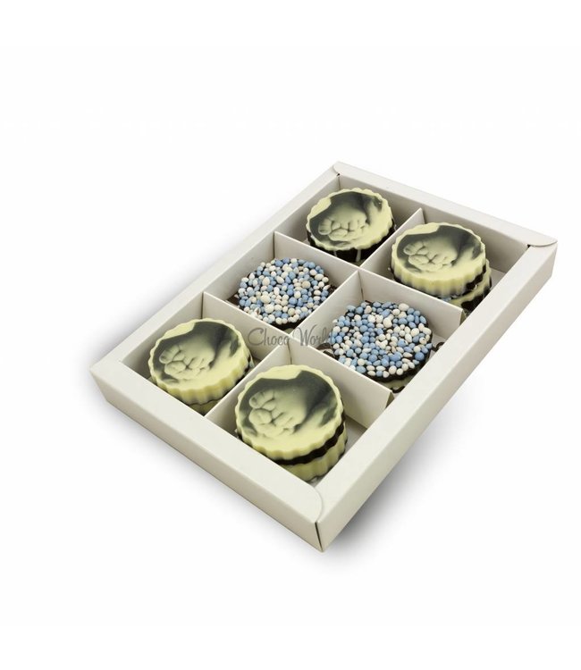 Chocolade medaillons met blauwe muisjes