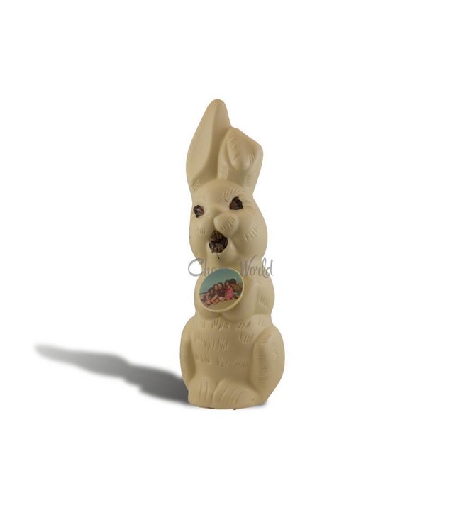 Chocolade paashaas groot met foto