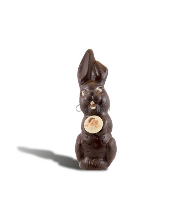 Chocolade paashaas groot met foto