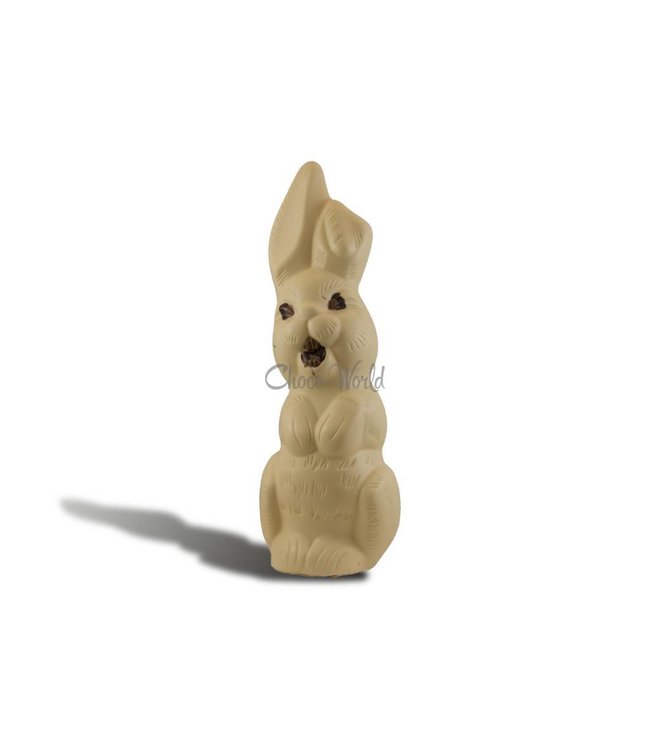 Chocolade paashaas groot