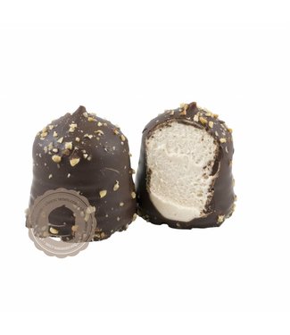 Chocozoen hazelnoot nougat rocher