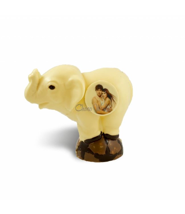 Chocolade olifant met foto