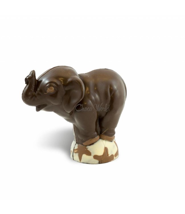 Chocolade olifant